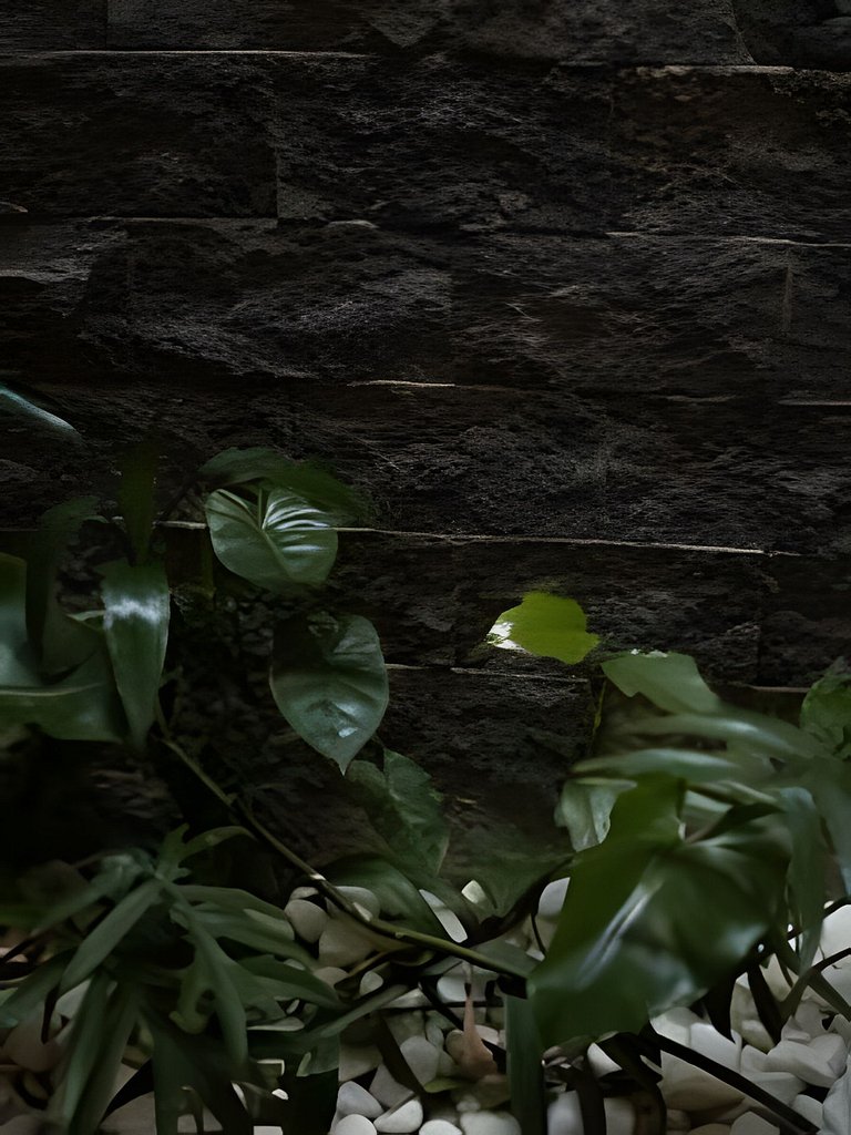 Vila Komorebi - Linda vista, Piscina Privativa