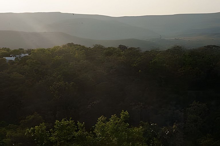 Vila Komorebi - Conforto em meio à natureza