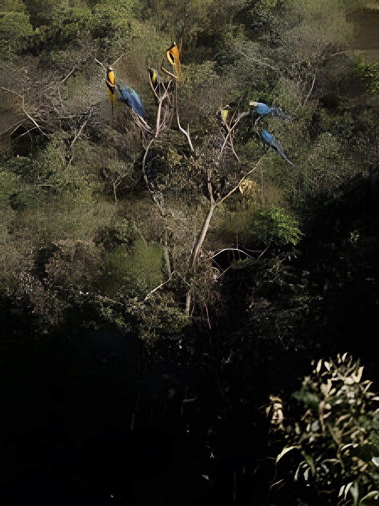 Vila Komorebi - Conforto em meio à natureza