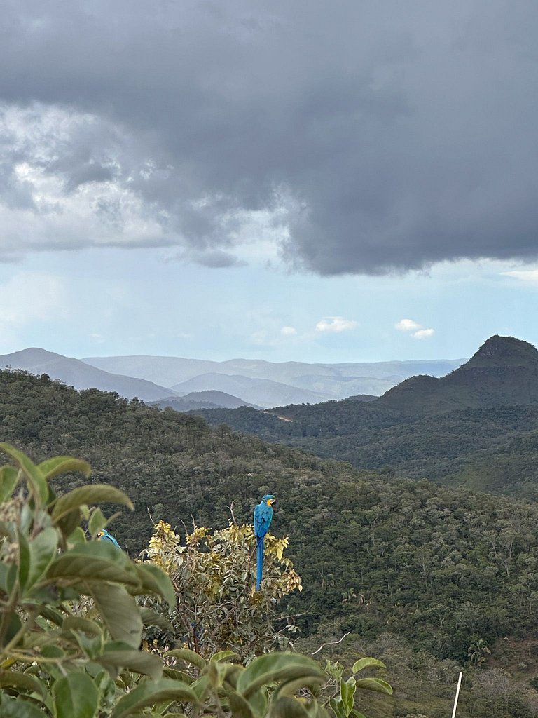 Vila Komorebi | Piscina aquecida com vista