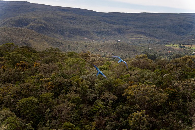 Vila Komorebi | Piscina aquecida com vista