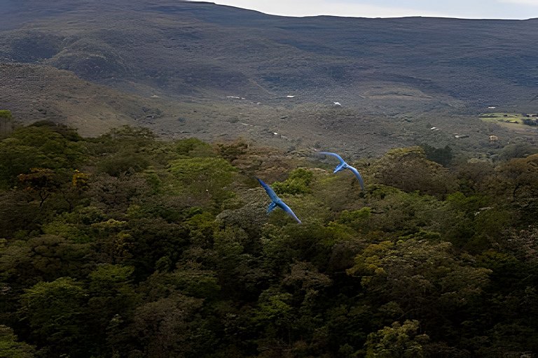 Vila Komorebi | Piscina Aquecida, Hidro e Natureza