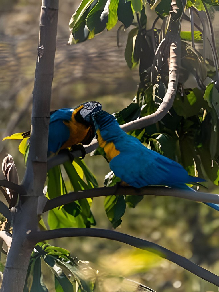 Vila Komorebi | Piscina Aquecida, Hidro e Natureza